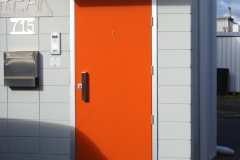 Entry Door Flush Rollicking Orange